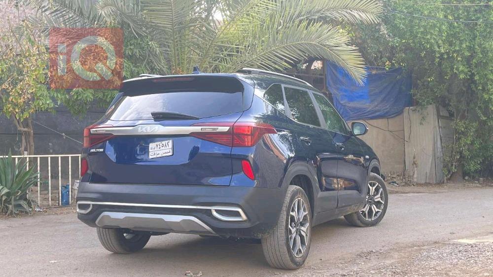 کیا سێلتۆس